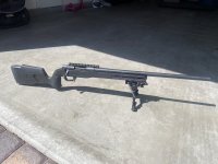 IMG_8308.jpeg