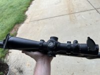 IMG_7175.jpeg