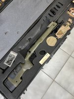 IMG_0956.jpeg