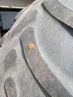 IMG_20250402_111819269.jpg
