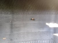 IMG_20250402_144305317.jpg