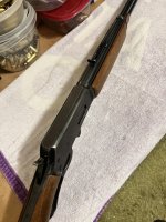 IMG_7917.jpeg