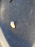 IMG_20250326_135222753.jpg