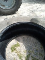IMG_20250402_150910521.jpg