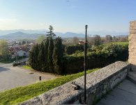 IMG_7768.jpeg