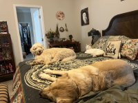 IMG_3440.jpeg