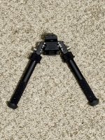 IMG_4532.jpeg