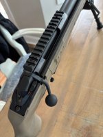 IMG_7154.jpeg