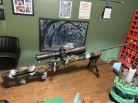 IMG_7495.jpeg