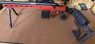 IMG_2091.jpeg