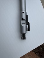 IMG_2990.jpeg