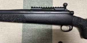 IMG_3715.jpeg