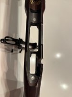 IMG_5384.jpeg