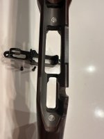 IMG_5385.jpeg