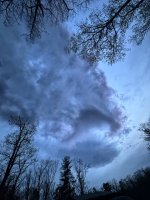 IMG_1975.jpeg