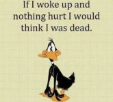 IMG_1368.jpeg