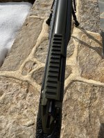 IMG_3267.jpeg
