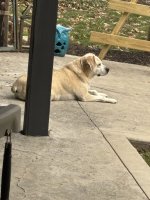 IMG_0504.jpeg