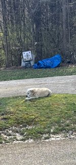 IMG_0554.jpeg