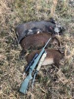IMG_2663.jpeg