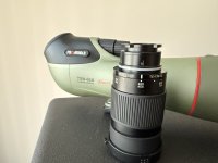 IMG_3278.jpeg