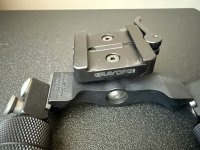 IMG_3283.jpeg