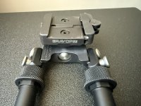 IMG_3286.jpeg