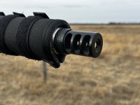 IMG_3328.jpeg