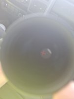 20250410_091748.jpg