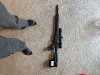 IMG_9359.jpeg