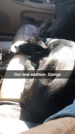 Snapchat-1591737262.jpg