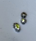 IMG_2374.jpeg
