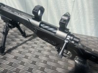 IMG_0831.jpeg