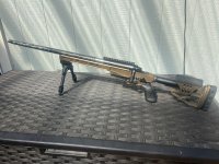 IMG_0835.jpeg