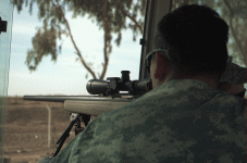 IMG_3097.gif