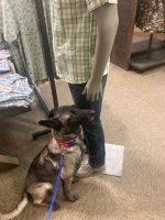 IMG_7102.jpeg