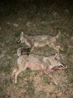 IMG_8074.jpeg