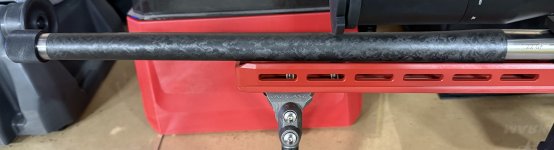IMG_2117.jpeg