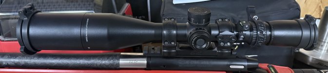 IMG_2121.jpeg