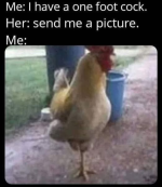 1744650056552.png