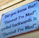 IMG_1401.jpeg