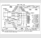 IMG_7283.jpeg