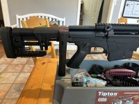 IMG_2513.jpeg