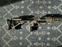 IMG_1367.jpeg