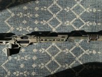 IMG_1368.jpeg