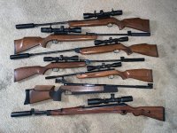 Air Rifles.jpg