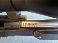 IMG_4176.jpeg