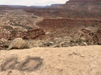 IMG_3243.jpeg