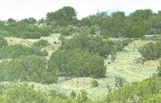 IMG_2528.jpeg