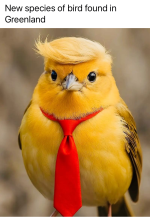 IMG_20250416_201849~2.png